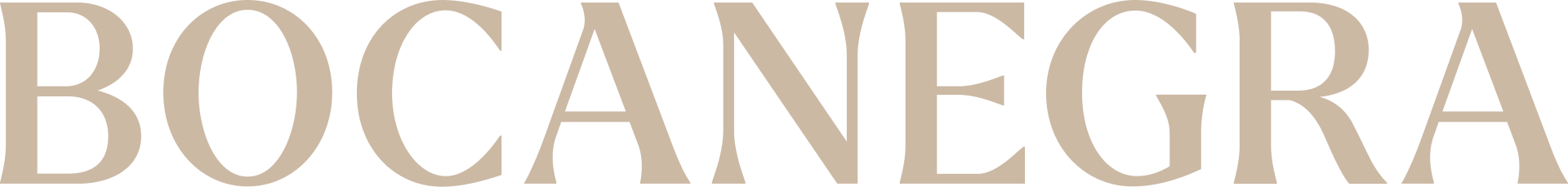 Bocanegra Lawyers