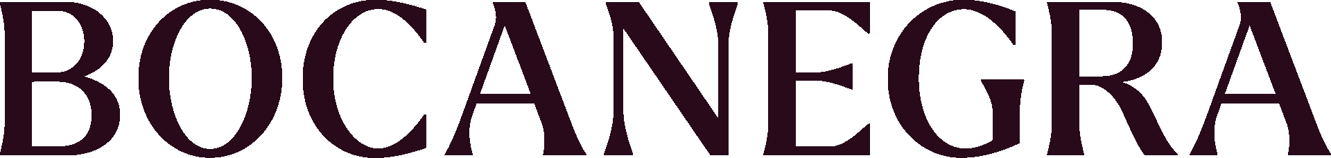 Bocanegra Lawyers